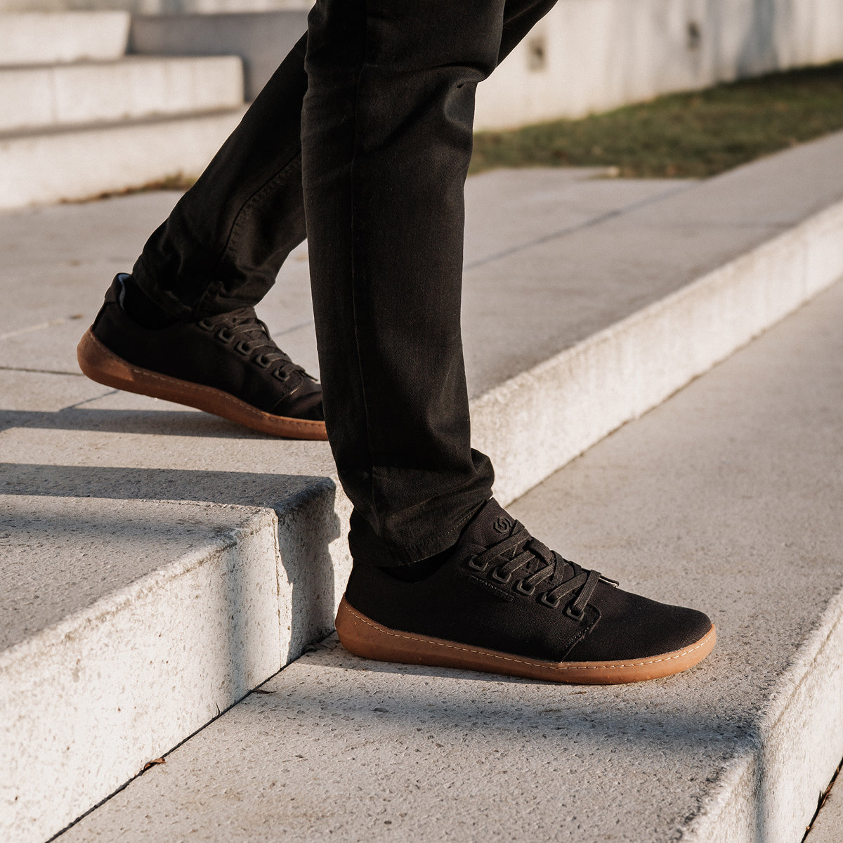 Wanderer II True Black