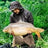 dominikmrkvicka_carplife